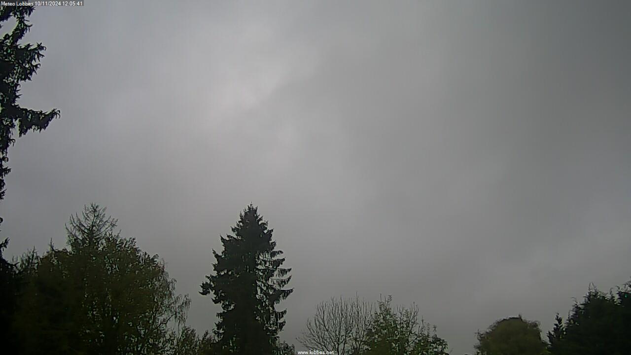 Météo Lobbes webcam 2024-11-10