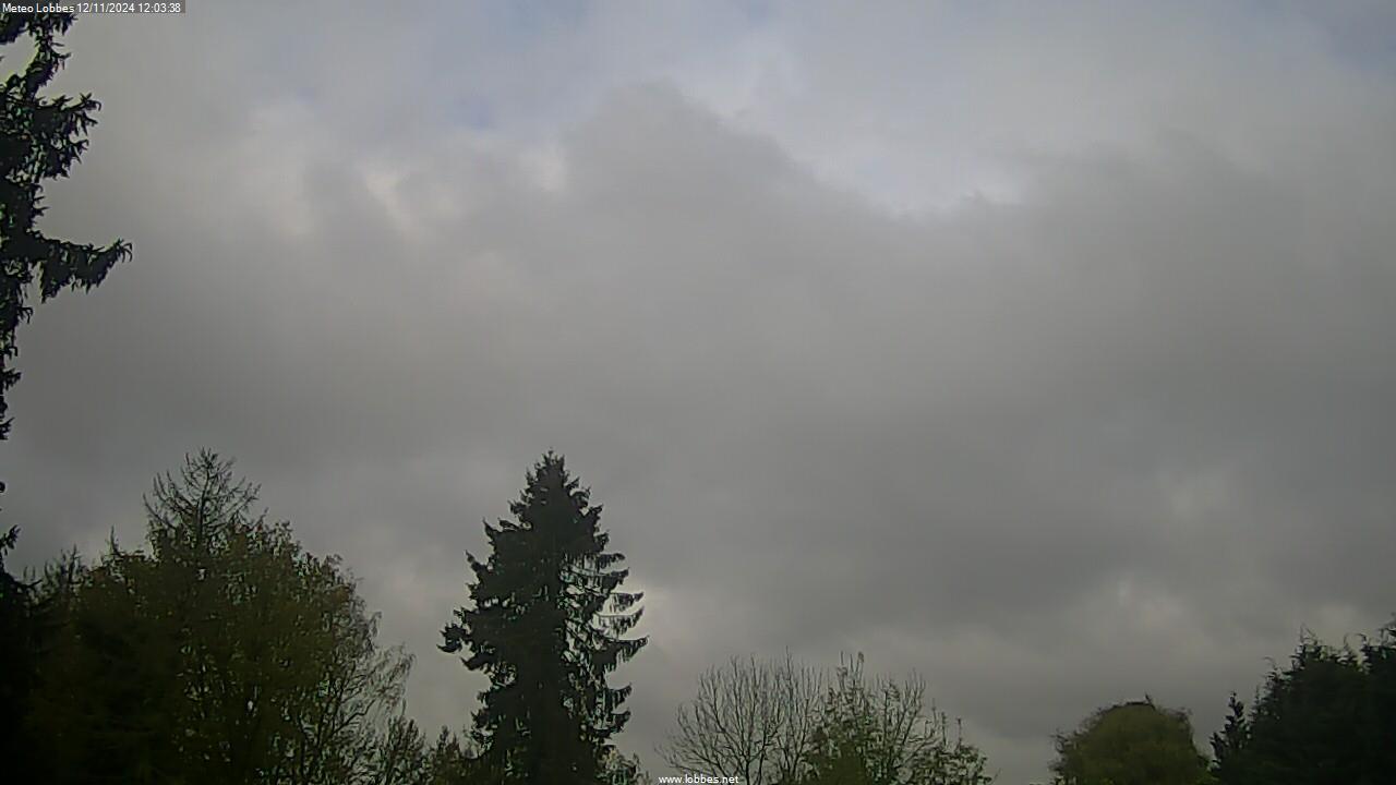 Météo Lobbes webcam 2024-11-12