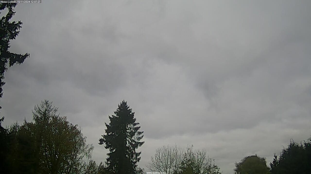 Météo Lobbes webcam 2024-11-15