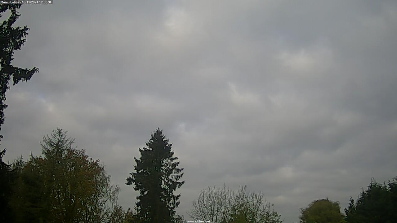 Météo Lobbes webcam 2024-11-16