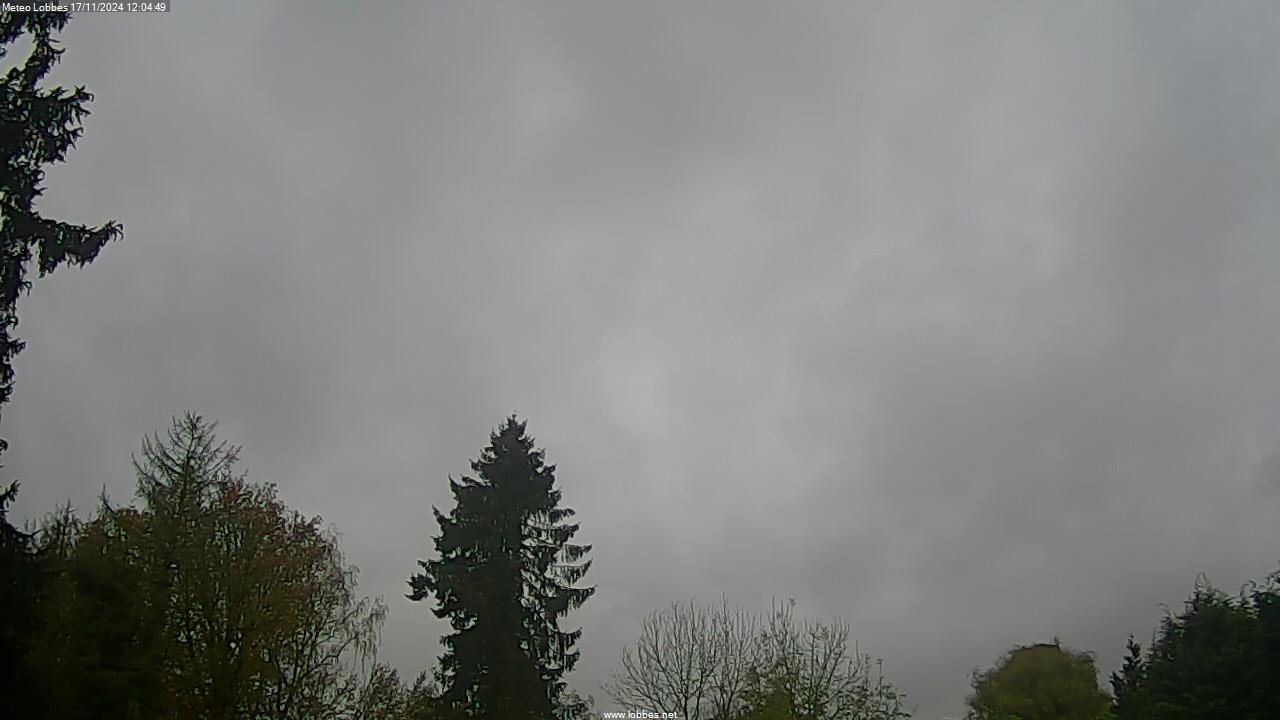 Météo Lobbes webcam 2024-11-17