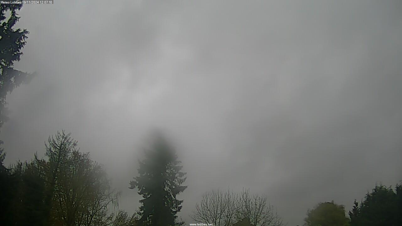 Météo Lobbes webcam 2024-11-19