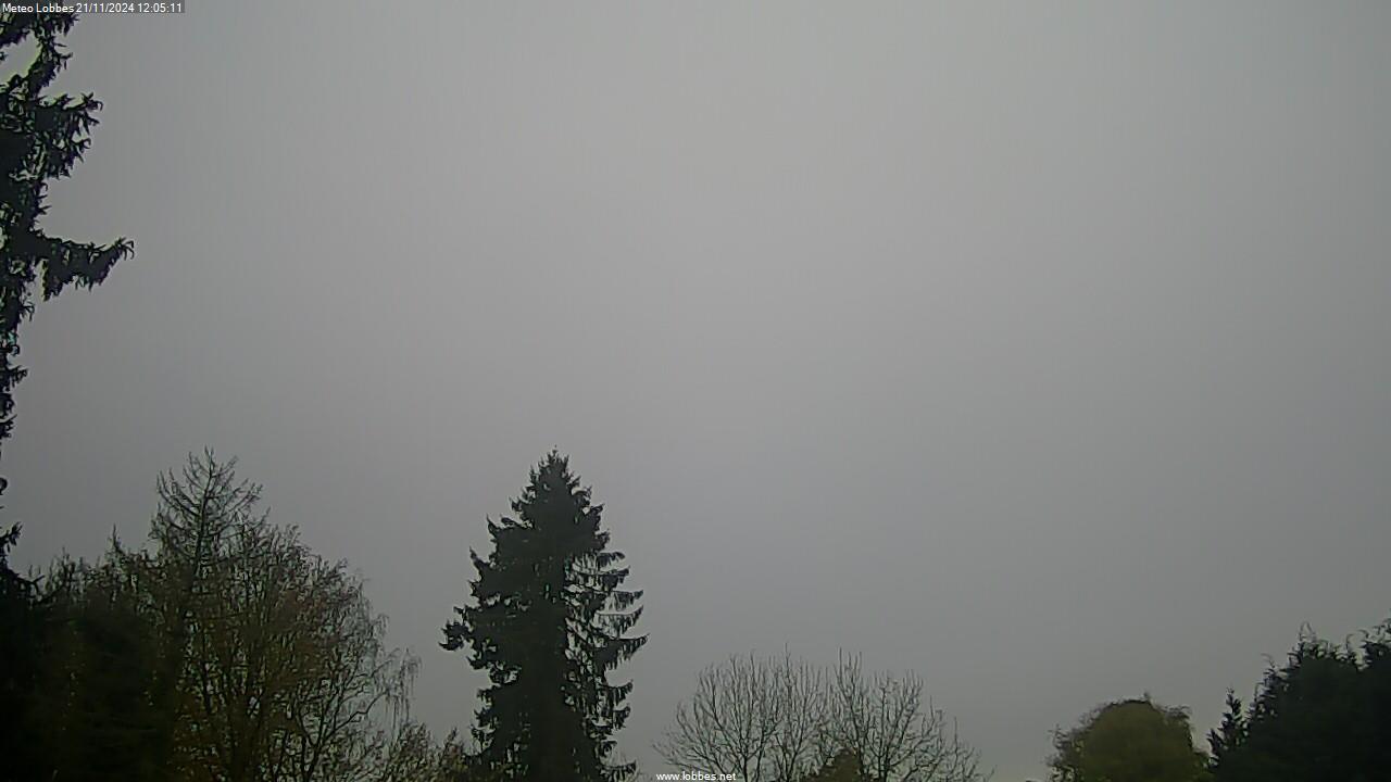 Météo Lobbes webcam 2024-11-21