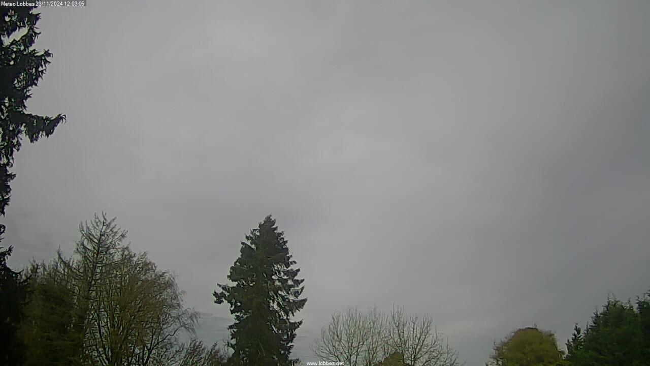 Météo Lobbes webcam 2024-11-23