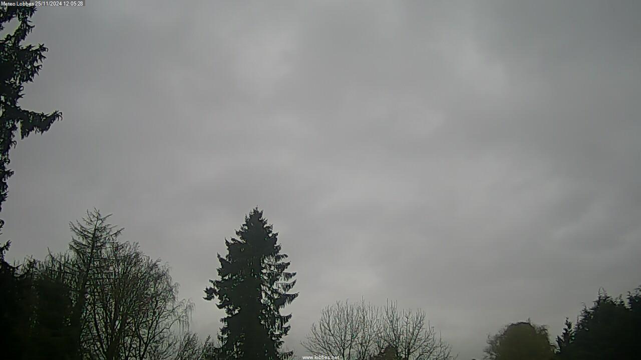 Météo Lobbes webcam 2024-11-25