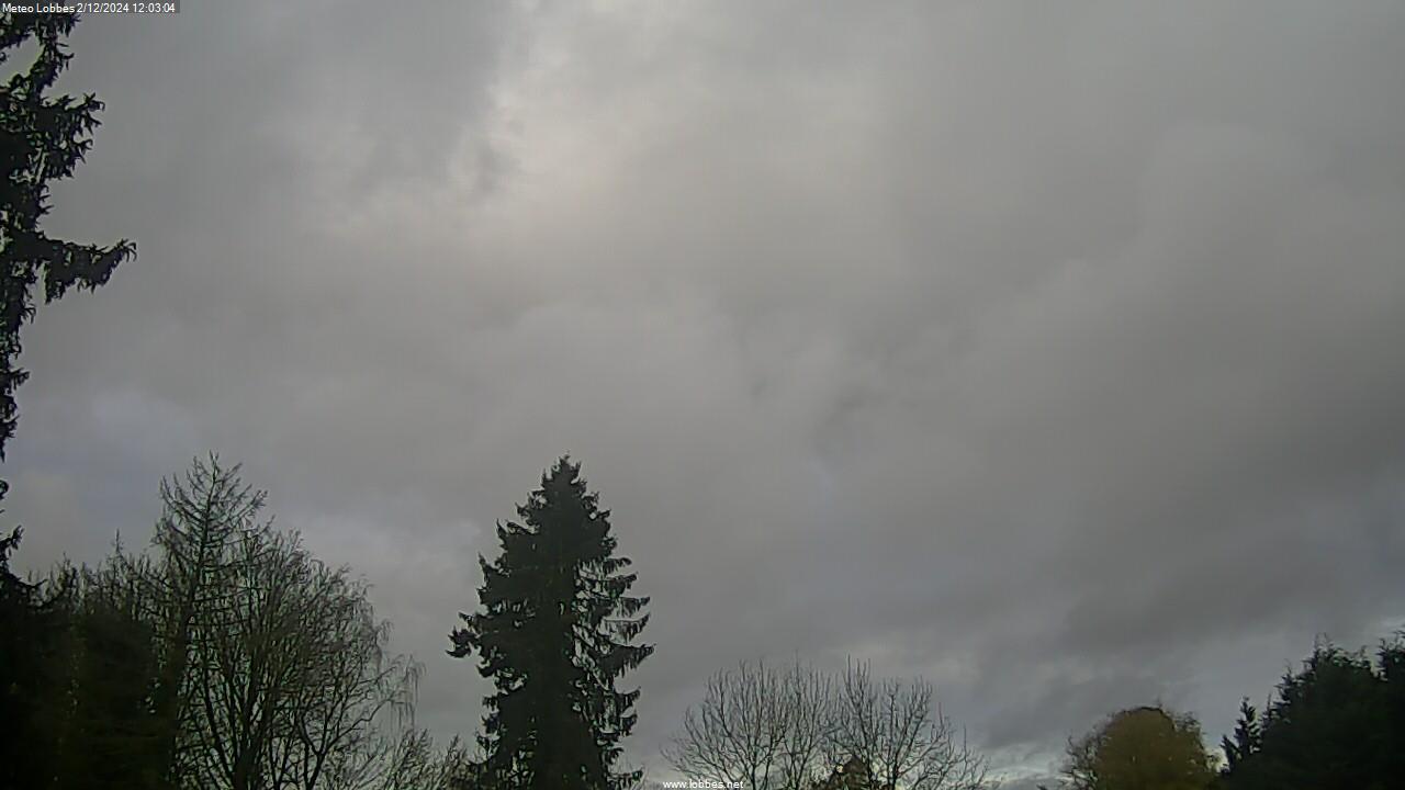 Météo Lobbes webcam 2024-12-02