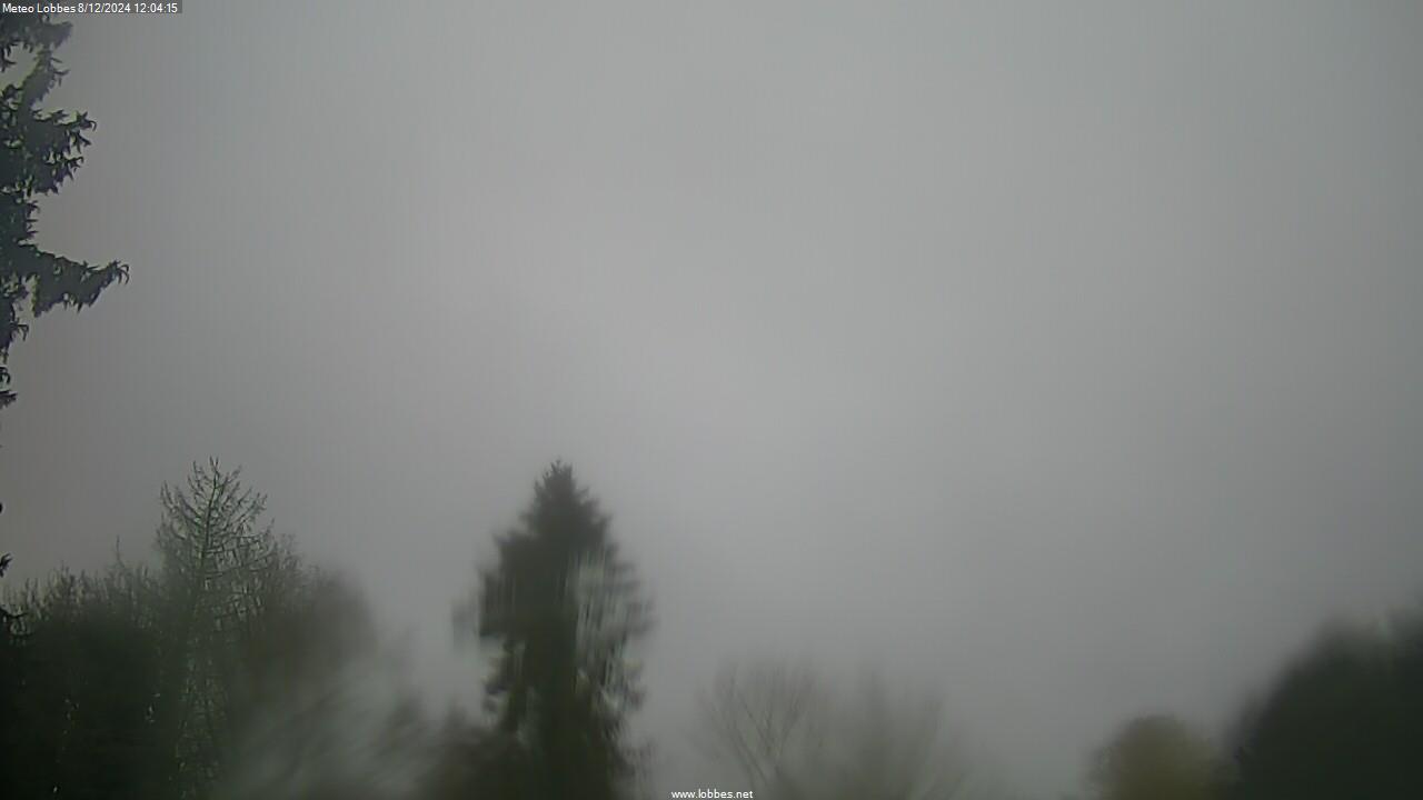 Météo Lobbes webcam 2024-12-08