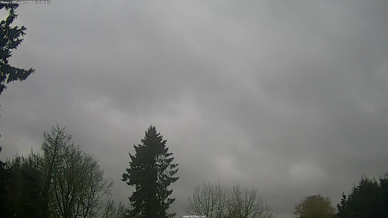 Météo Lobbes webcam 2024-12-09
