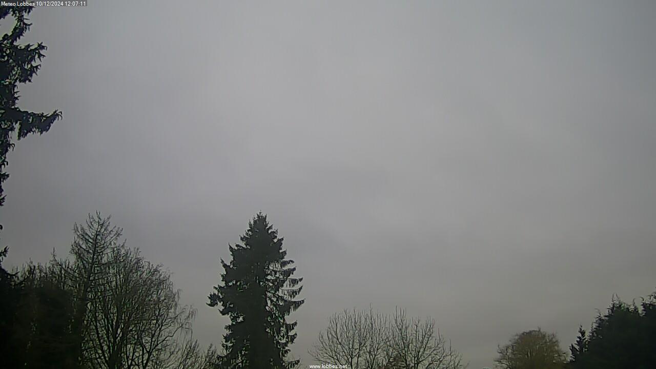 Météo Lobbes webcam 2024-12-10