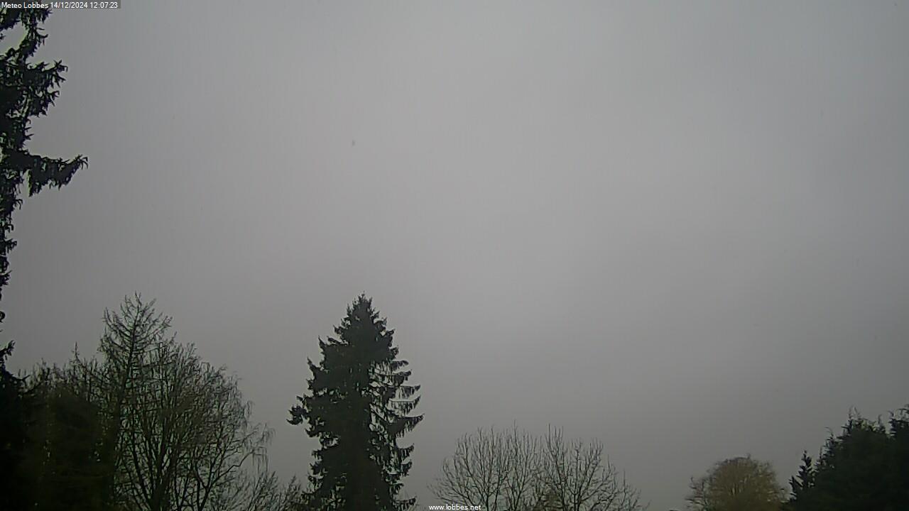 Météo Lobbes webcam 2024-12-14