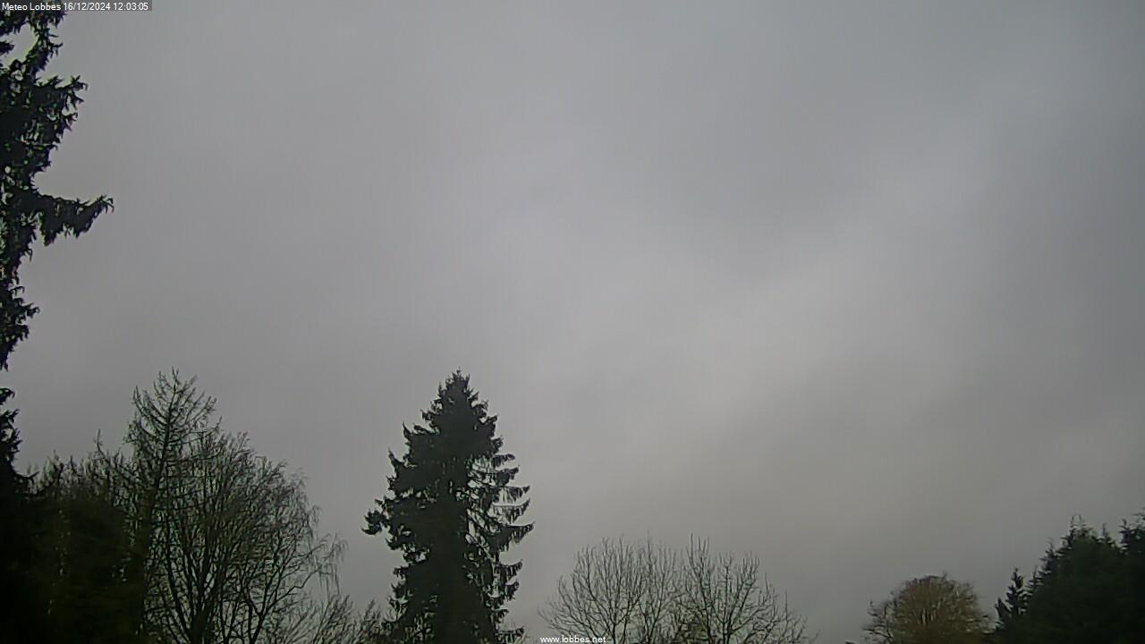 Météo Lobbes webcam 2024-12-16