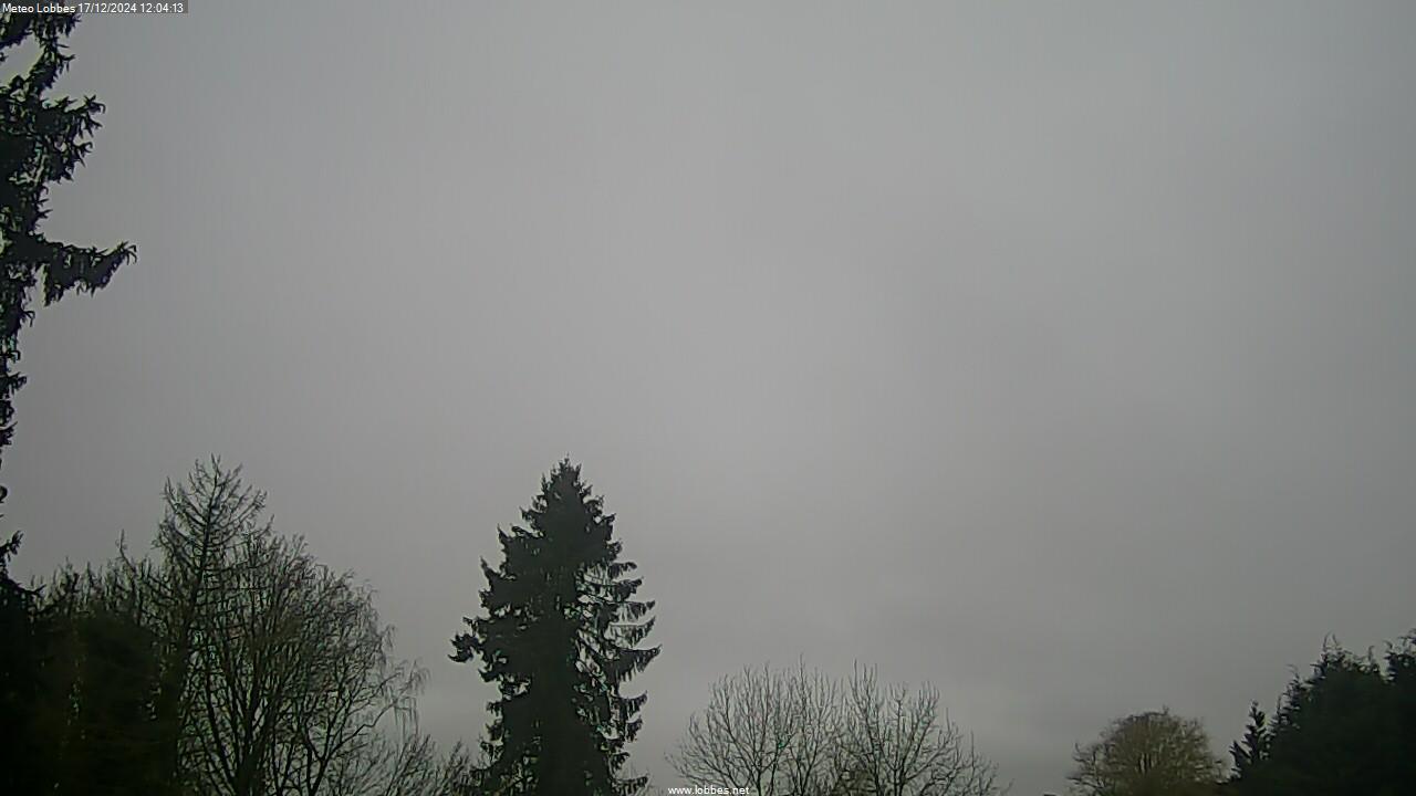 Météo Lobbes webcam 2024-12-17