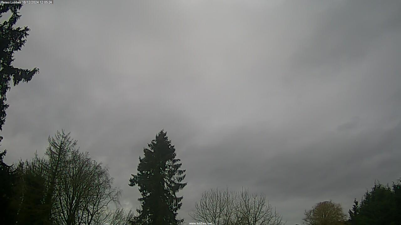 Météo Lobbes webcam 2024-12-18