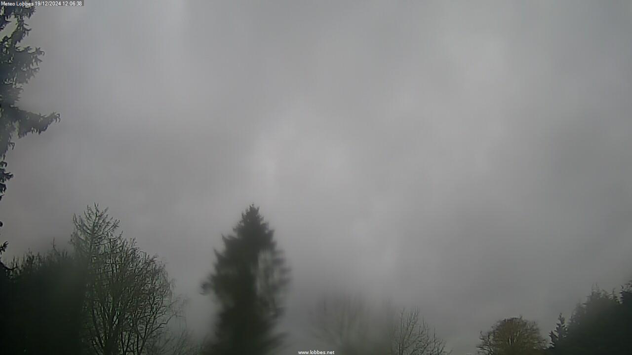 Météo Lobbes webcam 2024-12-19