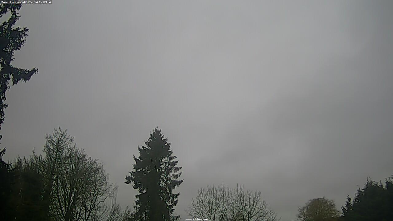 Météo Lobbes webcam 2024-12-24