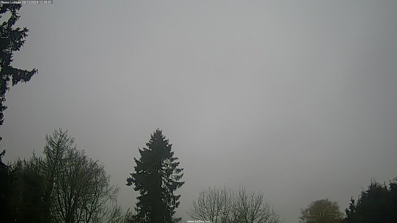 Météo Lobbes webcam 2024-12-29