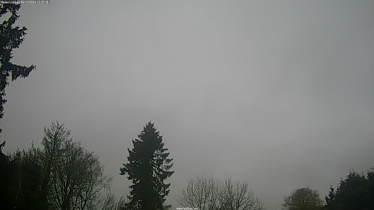 Météo Lobbes webcam 2024-12-30
