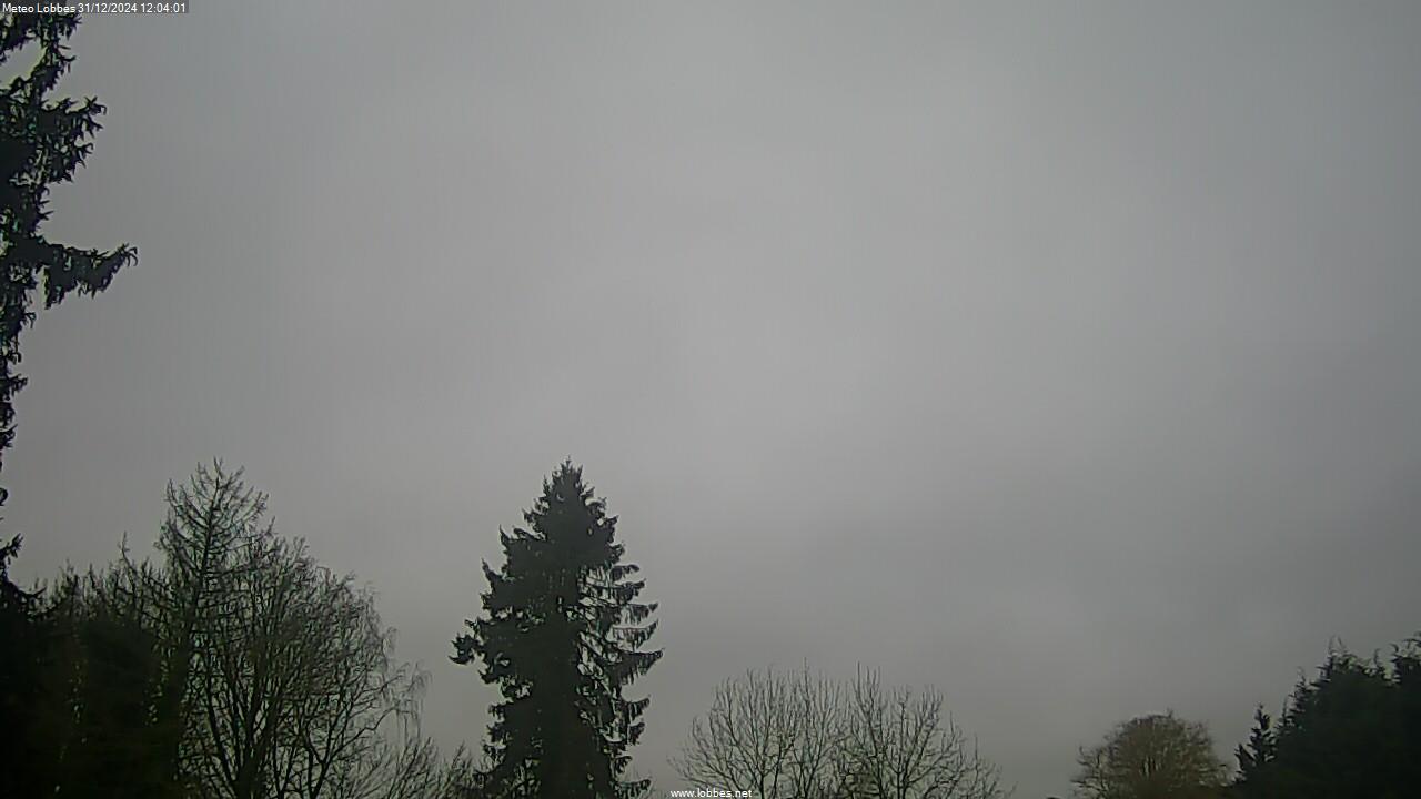 Météo Lobbes webcam 2024-12-31