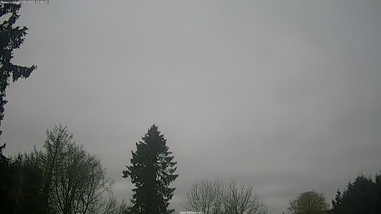 Météo Lobbes webcam 2025-01-01