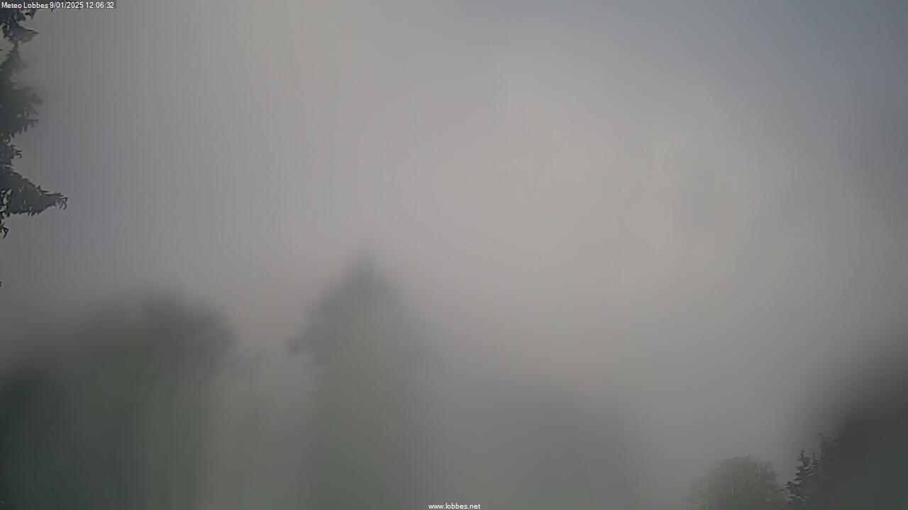 Météo Lobbes webcam 2025-01-09