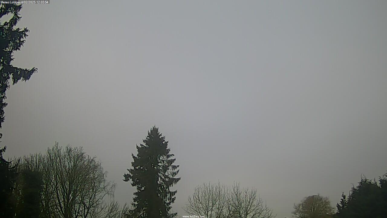 Météo Lobbes webcam 2025-02-04