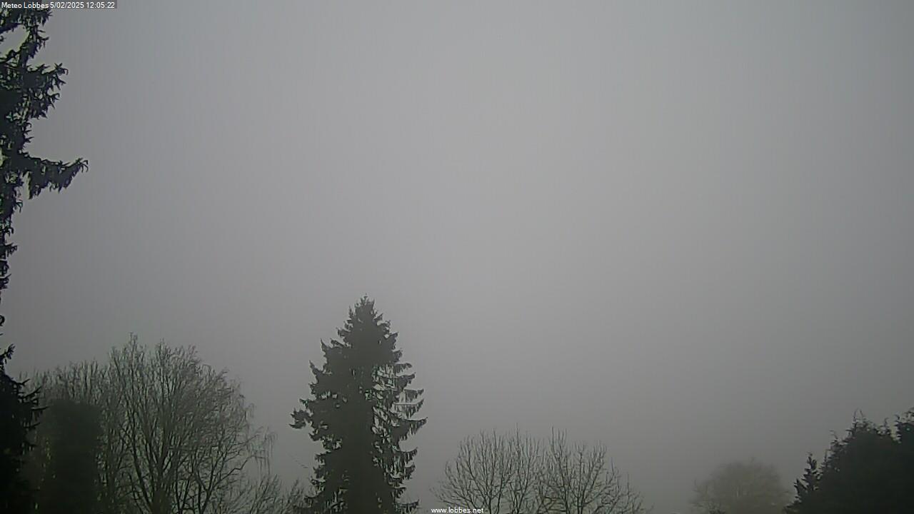 Météo Lobbes webcam 2025-02-05