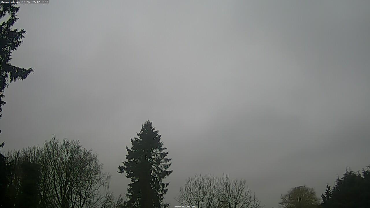 Météo Lobbes webcam 2025-02-11