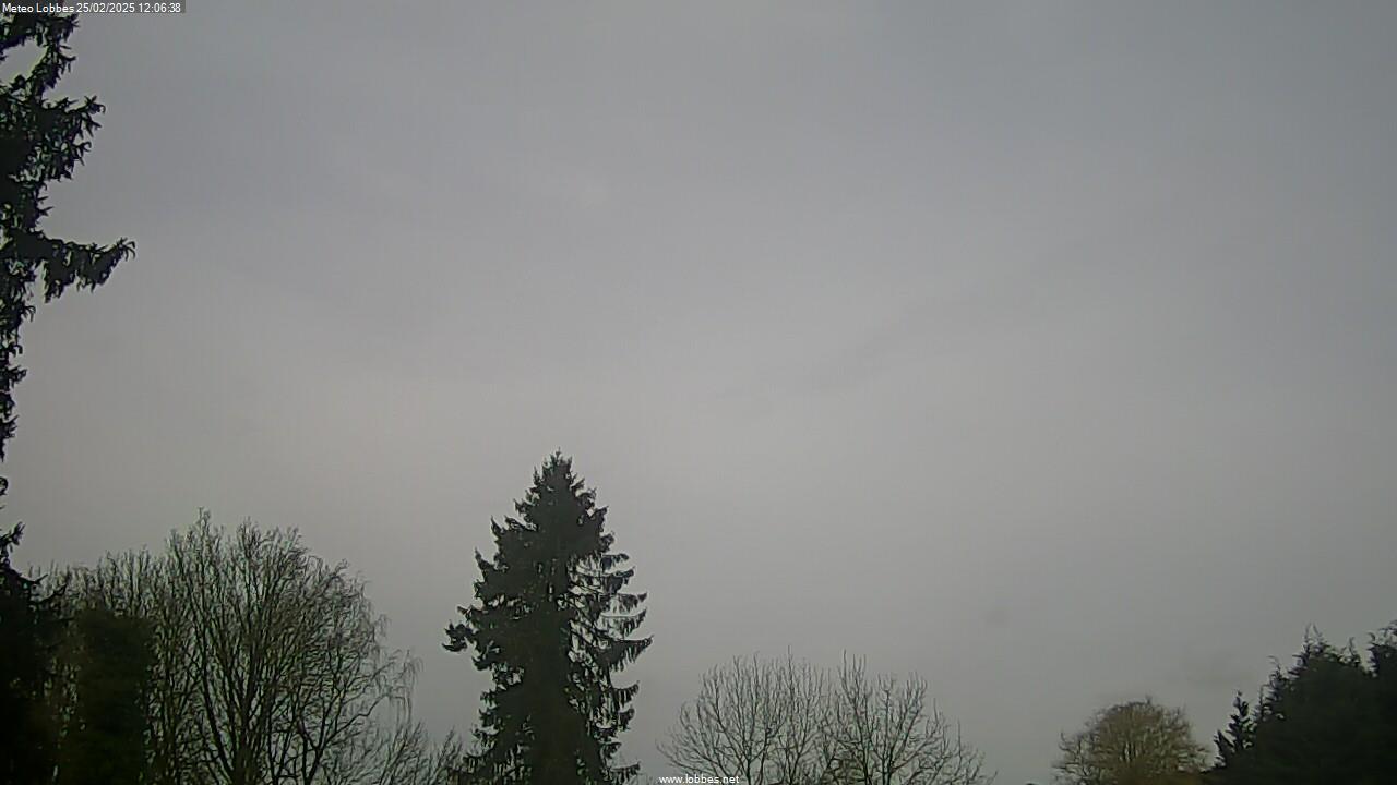 Météo Lobbes webcam 2025-02-25