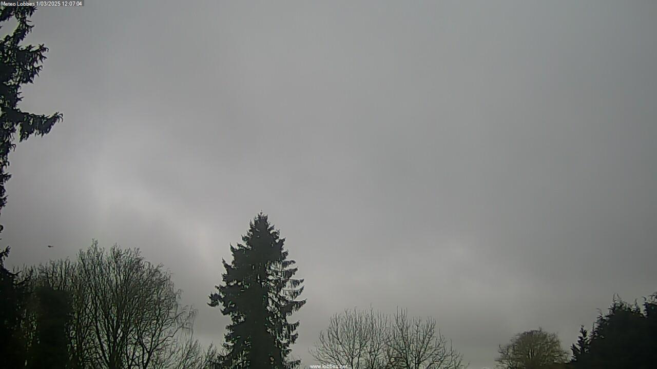 Météo Lobbes webcam 2025-03-01