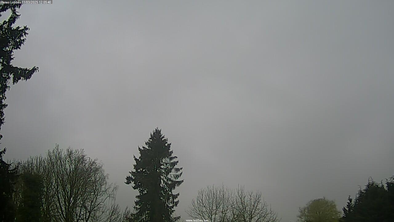 Météo Lobbes webcam 2025-03-11