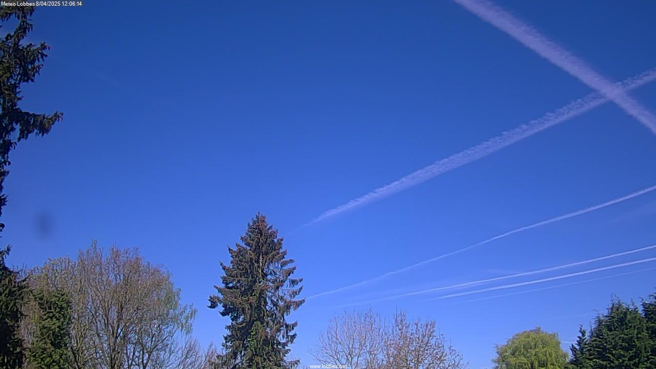 Météo Lobbes webcam 2025-04-08