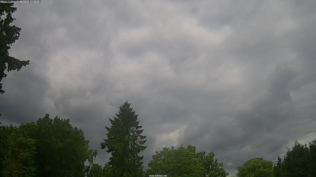 Météo Lobbes webcam 2025-06-09