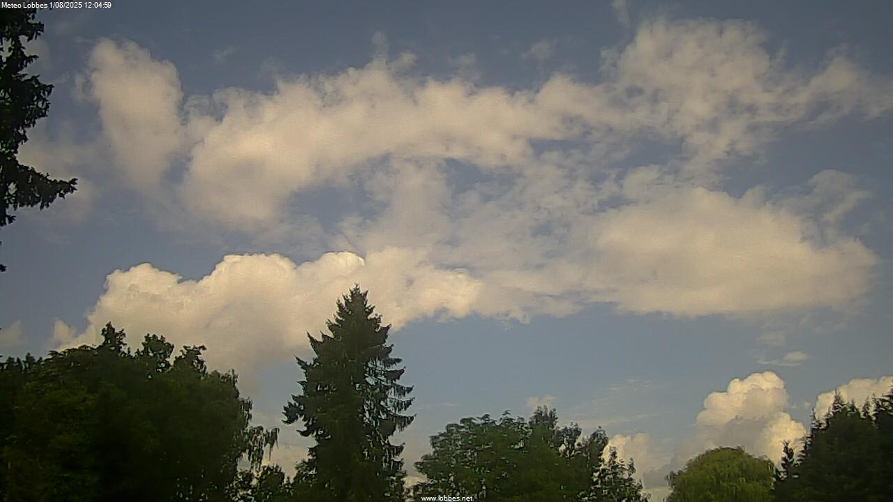 M&eacute;t&eacute;o Lobbes webcam 2025-08-01