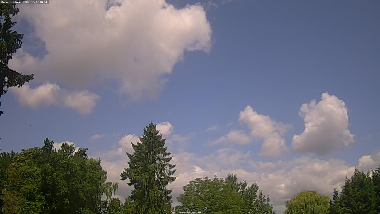 M&eacute;t&eacute;o Lobbes webcam 2025-08-05
