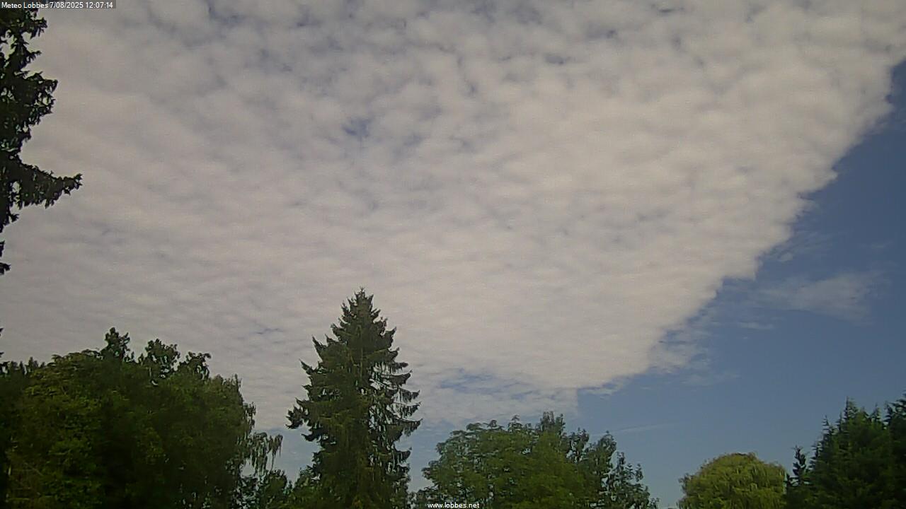 M&eacute;t&eacute;o Lobbes webcam 2025-08-07