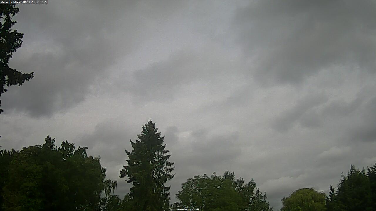 M&eacute;t&eacute;o Lobbes webcam 2025-08-08