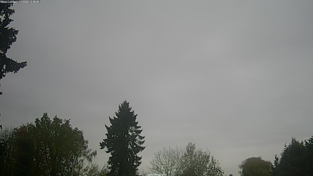Météo Lobbes webcam 2025-11-01