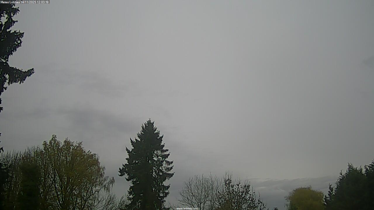 M&eacute;t&eacute;o Lobbes webcam 2025-11-14
