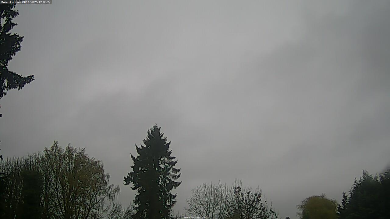 M&eacute;t&eacute;o Lobbes webcam 2025-11-19
