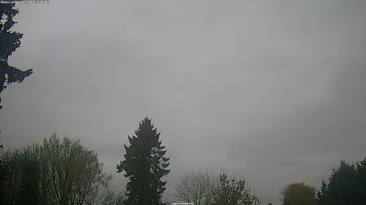 M&eacute;t&eacute;o Lobbes webcam 2025-11-29