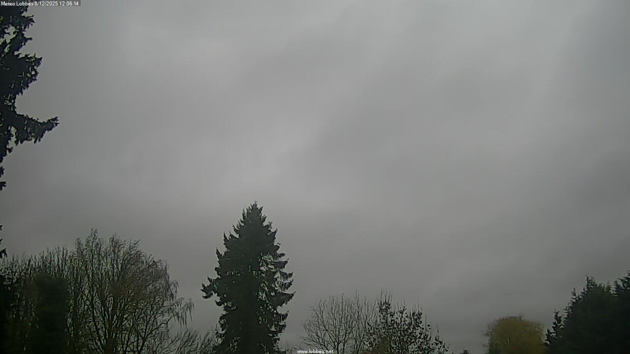 M&eacute;t&eacute;o Lobbes webcam 2025-12-08