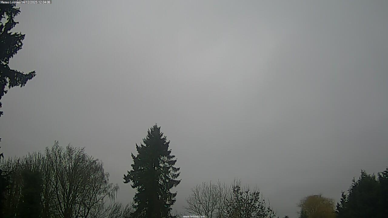 M&eacute;t&eacute;o Lobbes webcam 2025-12-14