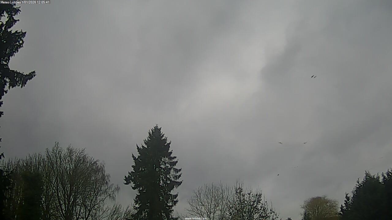 M&eacute;t&eacute;o Lobbes webcam 2026-01-01