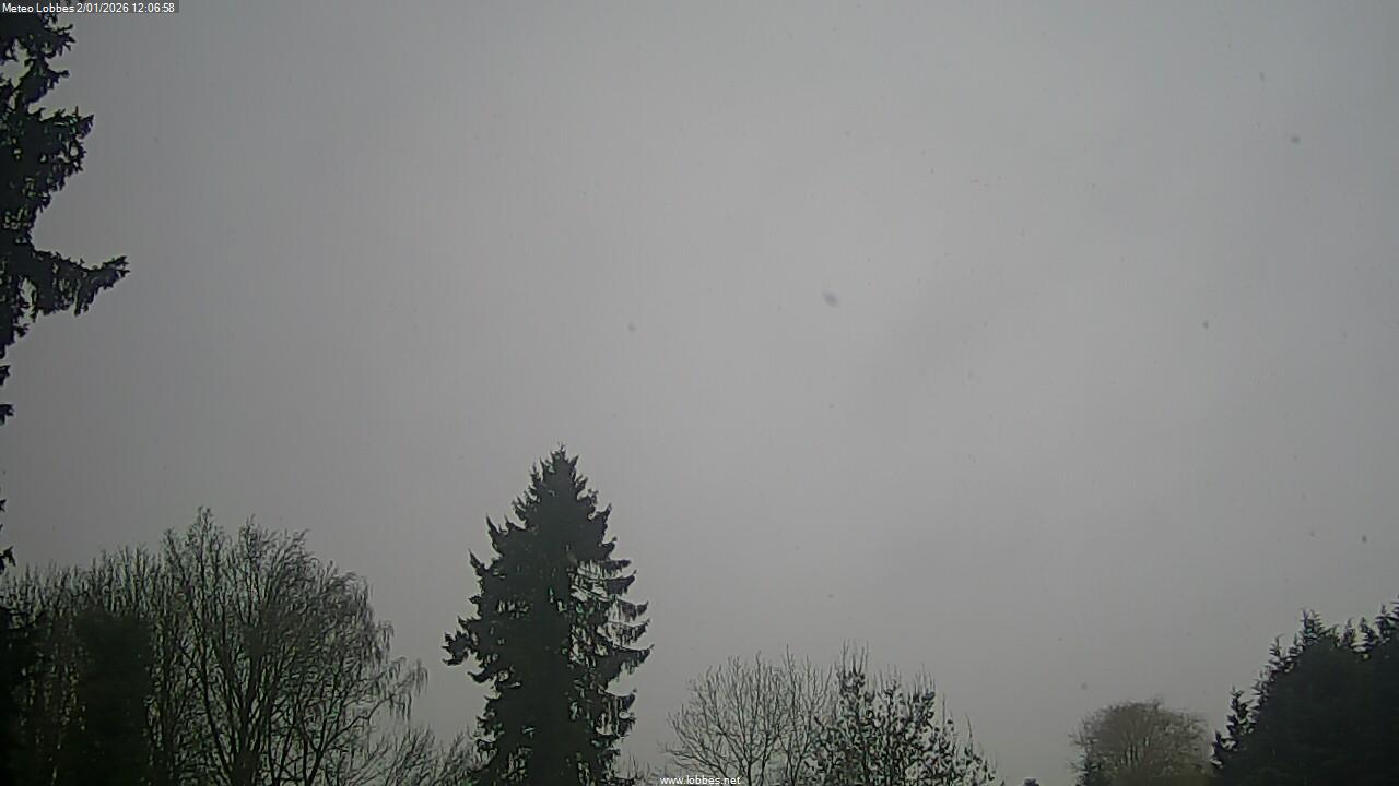 M&eacute;t&eacute;o Lobbes webcam 2026-01-02