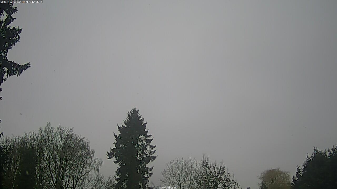 M&eacute;t&eacute;o Lobbes webcam 2026-01-05