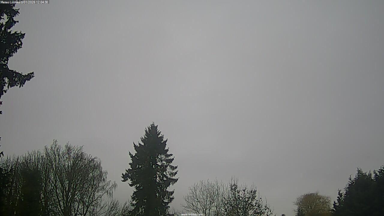 M&eacute;t&eacute;o Lobbes webcam 2026-01-08