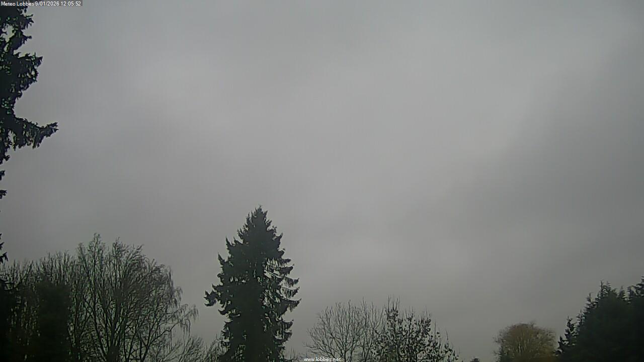 M&eacute;t&eacute;o Lobbes webcam 2026-01-09