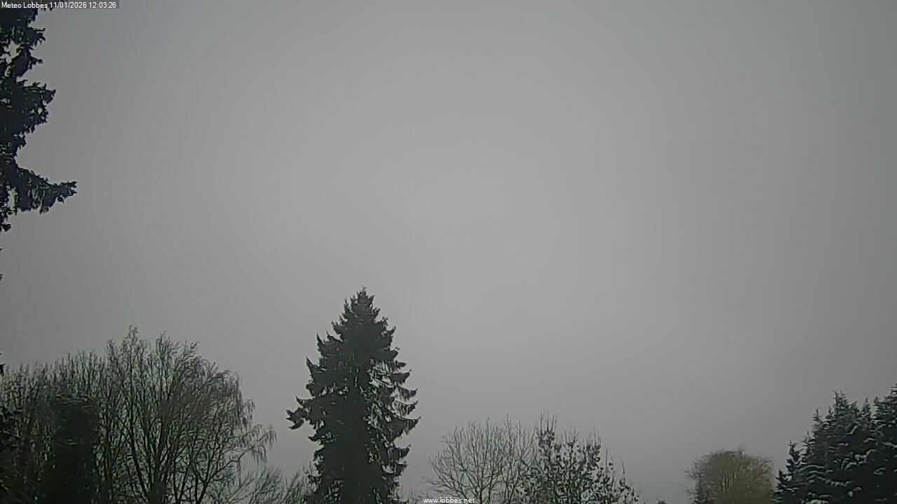M&eacute;t&eacute;o Lobbes webcam 2026-01-11