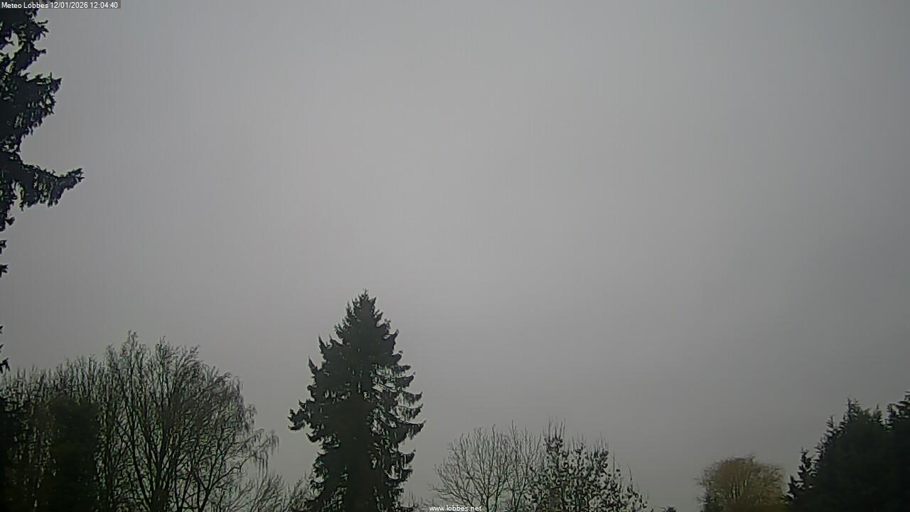 M&eacute;t&eacute;o Lobbes webcam 2026-01-12