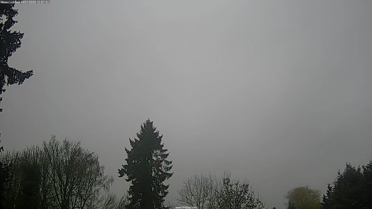 M&eacute;t&eacute;o Lobbes webcam 2026-01-14